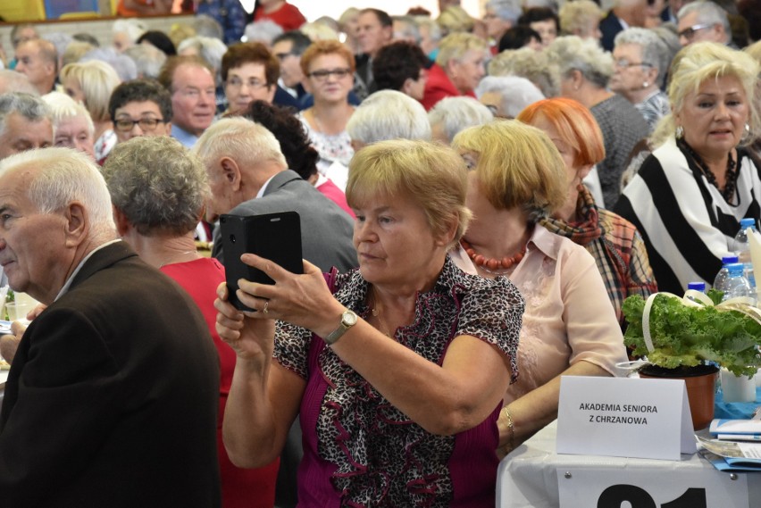 Chrzanów. Tłumy podczas XIII Powiatowego Dnia Seniora. Szalone Gitary przypomniały stare hity [ZDJĘCIA, WIDEO]