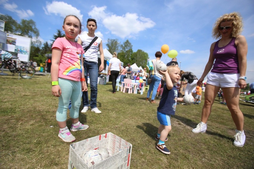 Leśny Piknik Rodzinny Katowice