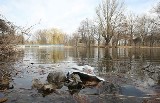 Znów śmieci w łódzkich stawach zalano wodą.  Zbiorniki nie będą czyszczone! [zdjęcia]