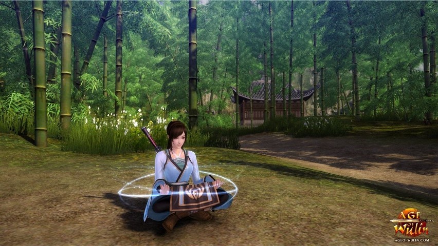 Age of Wulin
Age of Wulin: Beta już wkrótce