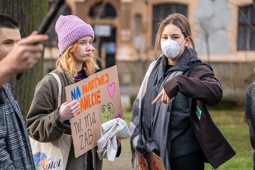 Młodzieżowy Strajk Klimatyczny w Nowym Sączu. Wyszli na ulicę, bo mają dość słów [ZDJĘCIA]
