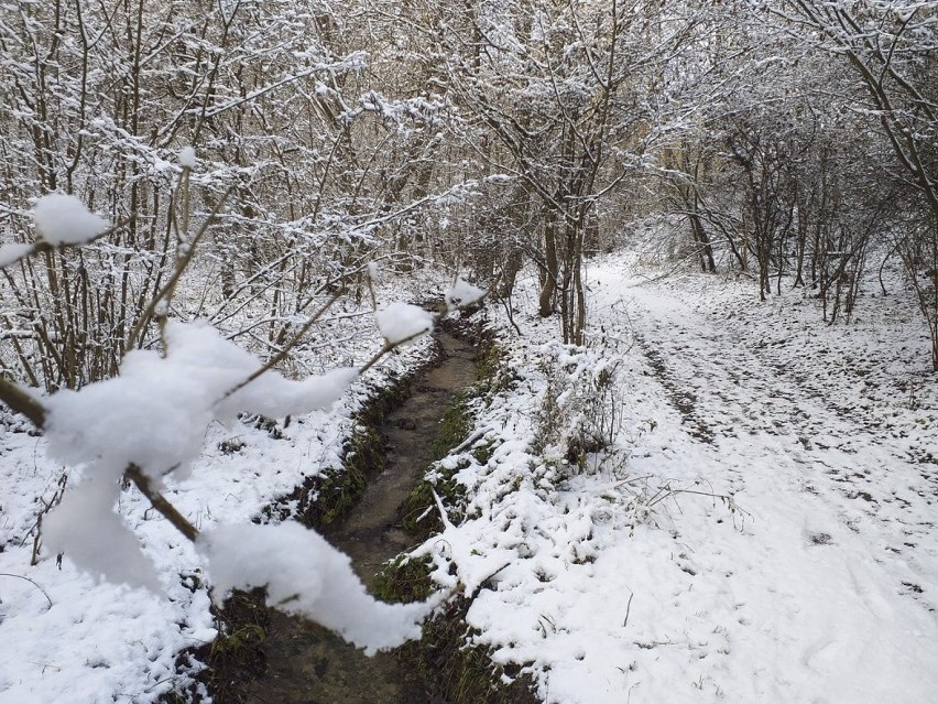 Piękna zima na jurze, dolina Kluczwody w zimowej szacie [GALERIA]