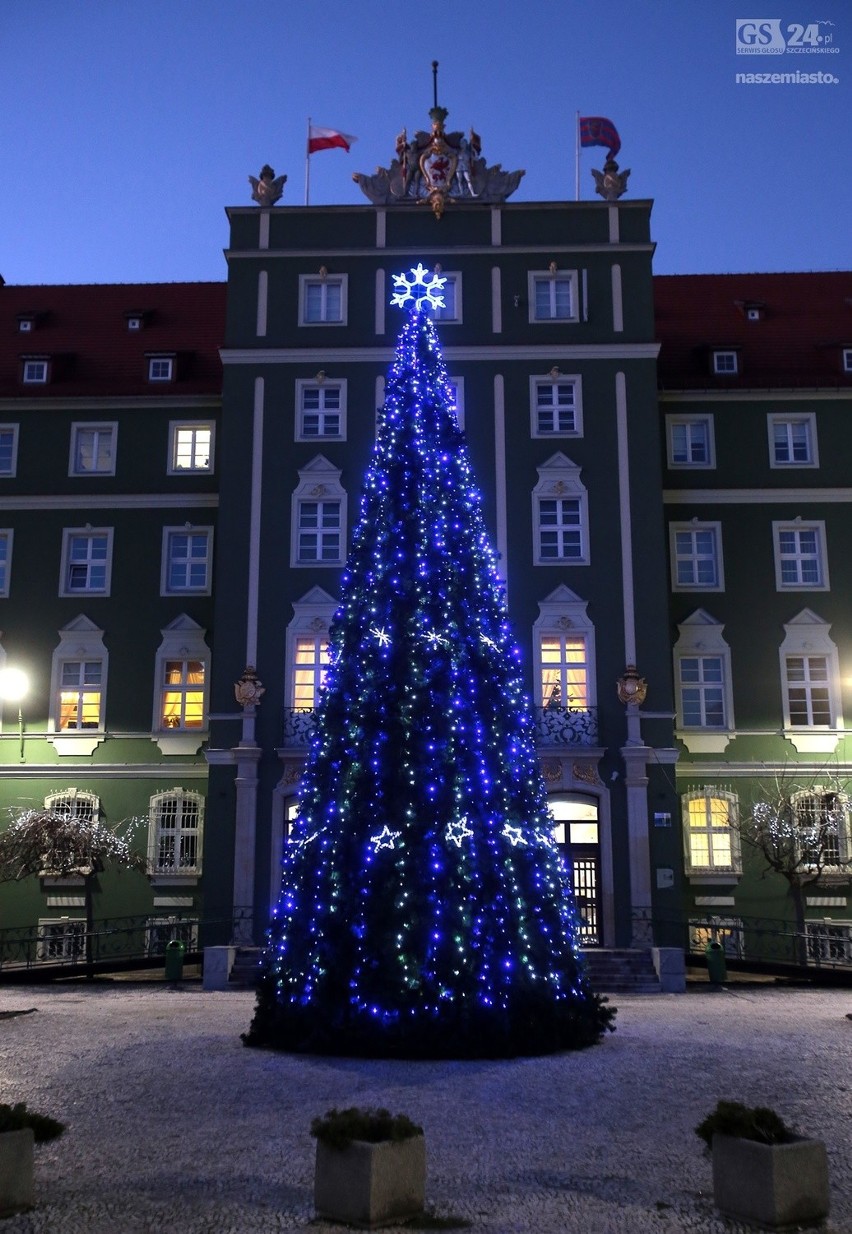 Dzisiaj zaświeciły się światełka na choince, znajdującej się...