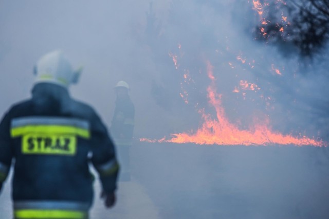 Z ogniem walczy 19 zastępów strażaków.