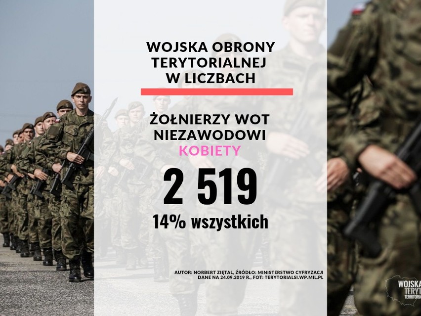 Wojska Obrony Terytorialnej w Polsce w liczbach.