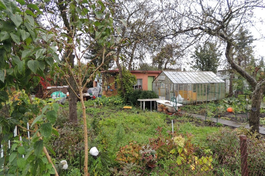 45-latek włamał się do dziewięciu domków ogrodowych na...
