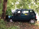 ŁAZ. Daewoo tico uderzyło w drzewo. Kierowca trafił do szpitala w Zielonej Górze [ZDJĘCIA]