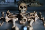 Przerażające odkrycie polskich archeologów. Szczątki kobiety i dziecka zamknięte na kłódkę