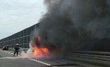 Na autostradzie A4 na wysokości Sędziszowa Małopolskiego spalił się samochód osobowy [ZDJĘCIA]