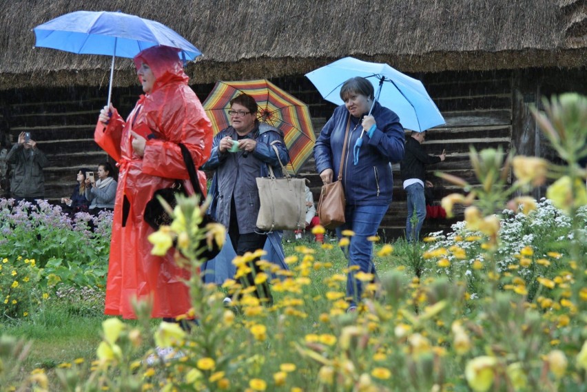 Muzeum Wsi Lubelskiej. Noc św. Jana w malowniczym sektorze Powiśle (ZDJĘCIA)