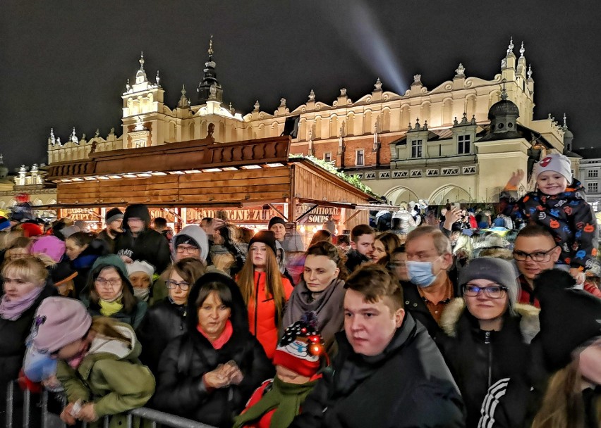 Na Rynku Głównym rozbłysła największa choinka w Krakowie. 15-metrowy świerk zdobi 26 tysięcy światełek! [ZDJĘCIA]