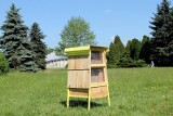 Hotel dla pszczół buduje Greenpeace w Parku Śląskim. Populacja pszczół coraz mniejsza