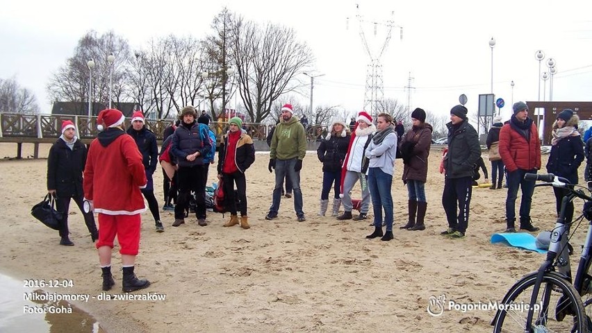 Dąbrowa Górnicza: morsujące Mikołaje zbierały prezenty dla zwierząt z sosnowieckiego schroniska 