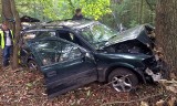 Kompletnie pijany młody kierowca uderzył w drzewa koło Buchałowa i uciekał policji