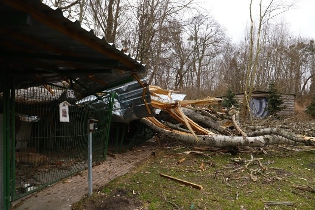 Na naprawę kojców, które zostały dosłownie zdemolowane w wyniku wichur, potrzeba 80 tys. zł.