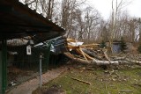 Toruń. Schronisko dla zwierząt zniszczone po potężnej wichurze. Jest zbiórka online!