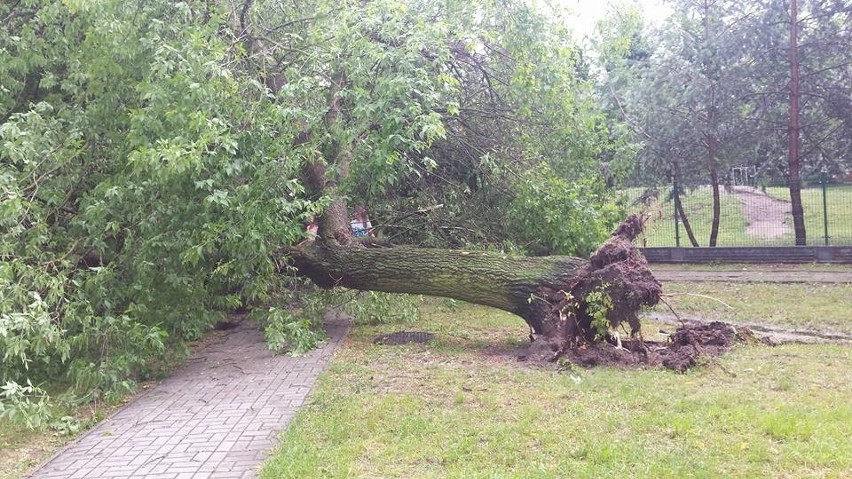 Tak wyglądało osiedle Dzieci Polskich i Witosa.