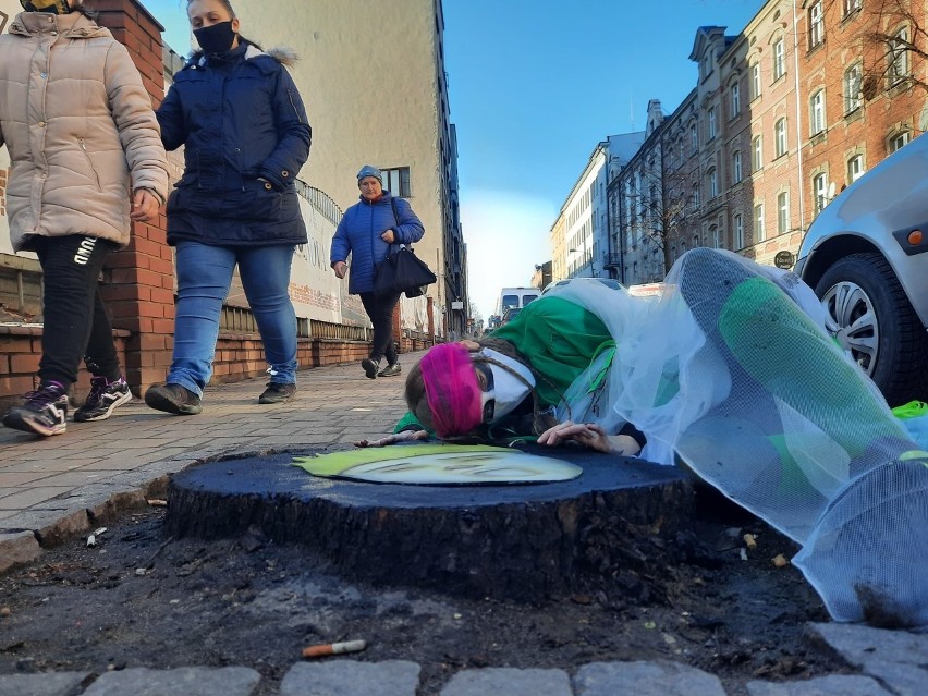 Happening przy wyciętych kasztanowcach na Raciborskiej w...