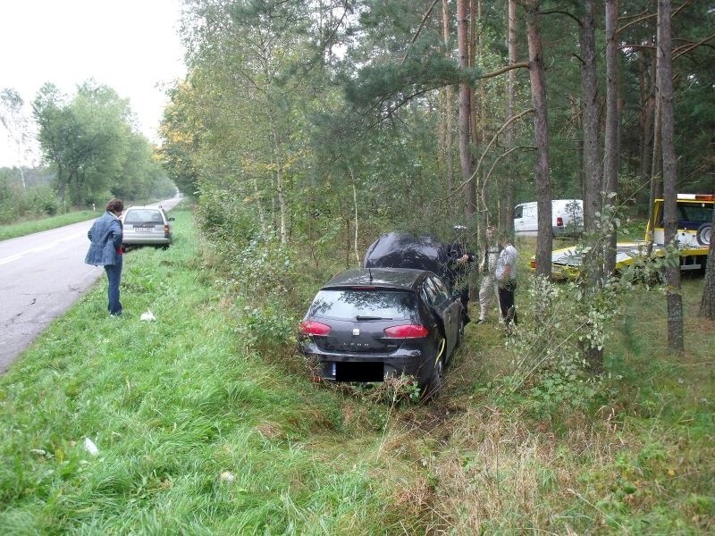 To grzybobranie będzie dużo kosztować (zdjęcia)