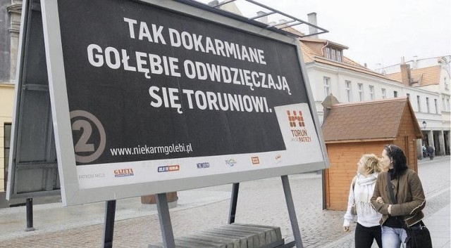 Takie billboardy mają zachęcić mieszkańców do udziału we akcji przeciw dokarmianiu gołębi