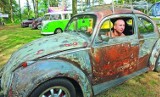 Miłośnicy volkswagenów "garbusów" i ich "bestie" [zdjęcia]