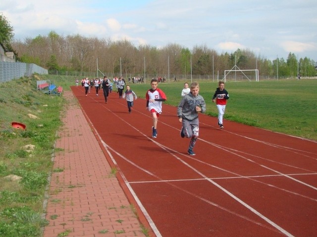 Bieg rozpocznie się we wtorek 3 maja o godzinie 16.00 od stadionu lekkoatletycznego.