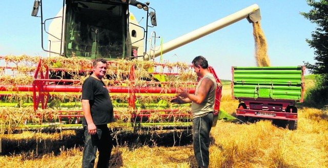 Rolnicy w powiecie krakowskim najczęściej uprawiają zboża i na nie starają się o dopłaty