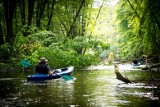 Jak firmy z Kujawsko-Pomorskiego integrują pracowników [przykłady]