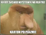 Najlepsze MEMY o sąsiadach. Jak wygląda sąsiedzkie życie? Fantastyczna dawka humoru!