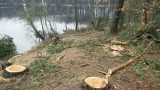 Nad jeziorem Białym w Samociążku wycięli setki drzew [zdjęcia]