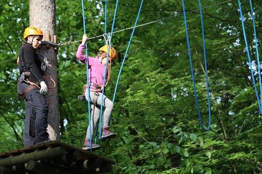 1.Park linowy Forest Jump w Solcu Kujawskim: 349 tys. zł...