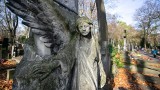 Najstarszy cmentarz w Polsce – to miejsce może was zaskoczyć. Nie Powązki w Warszawie i nie Cmentarz Rakowicki w Krakowie