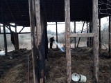 Pożar słomy w Sikorach koło Czaplinka [zdjęcia]