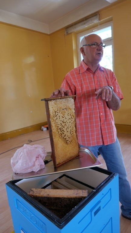 „Chronimy pszczoły - ratujemy środowisko”. Z naszą akcją...