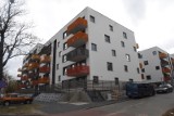 Mieszkania dla studentów w Poznaniu. Ile kosztują najtańsze mieszkania i pokoje do wynajęcia?