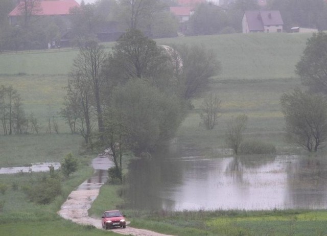 Woda zalewa nie tylko pola, ale i drogi. Aby dojechać z Niekrasowa do sąsiedniej Ossali, trzeba było zatoczyć kilkukilometrowe koło.