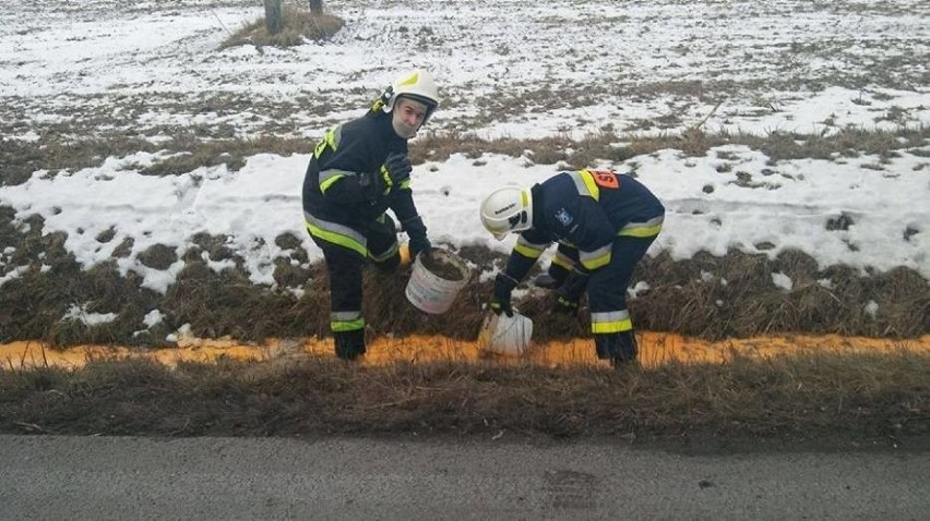 Masa jajeczna rozlała się na drodze