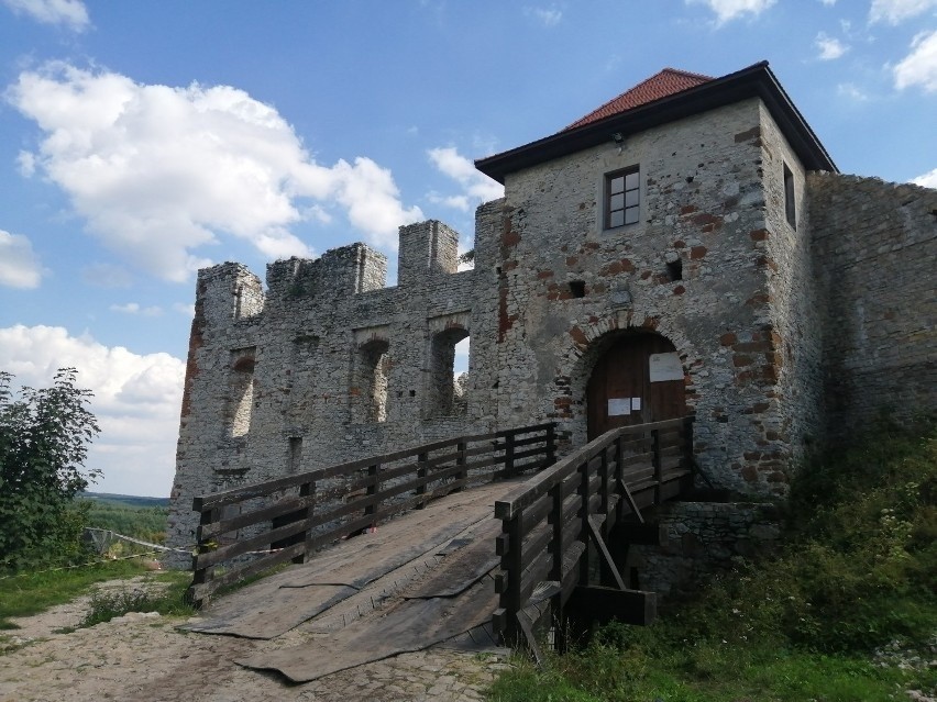 Zamek w Rabsztynie (gm. Olkusz). Pierwotny zamek, o którym...