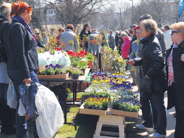 Hity na grządki. Ceny w sklepach Koszalina, Szczecinka, SławnaKażdego roku Biuro Targów Bałtyk organizuje Targi Budownictwa „Dom i ogród”. Ich dużą część stanowi Giełda Ogrodnicza, na której jest okazjaby kupić wiele roślin i sprzęt ogrodniczy. Najbliższe Targi zaplanowano na 5 i 6 kwietnia, na terenach hali widowiskowo-sportowej w Koszalinie.