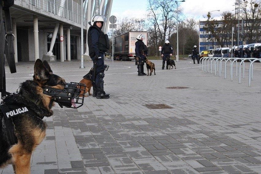 Policjanci na koniach i z psami na stadionie ŁKS przy alei Unii! Dlaczego zmobilizowani tak duże siły? Zobaczcie zdjęcia