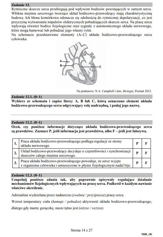 Matura 2018: BIOLOGIA arkusze CKE ONLINE + rozwiązania...