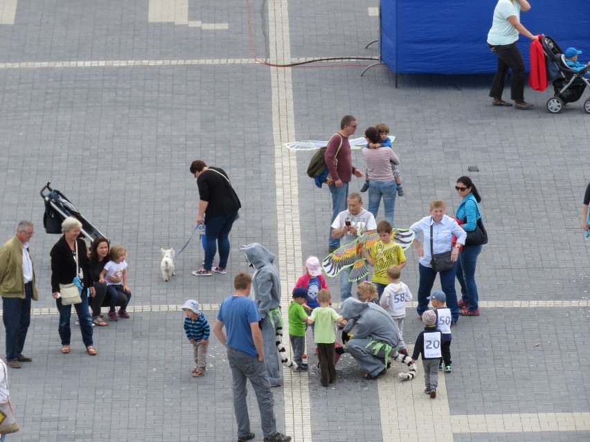 Piknik z Latawcem w Piekarach Śląskich