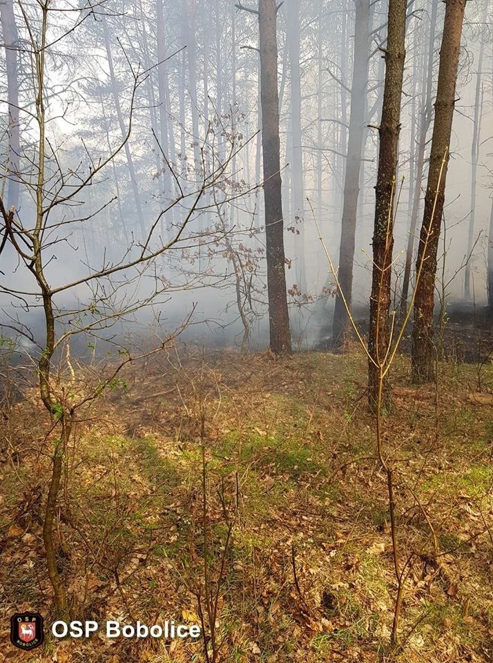 W całym kraju został ogłoszony najwyższy 3 stopień...