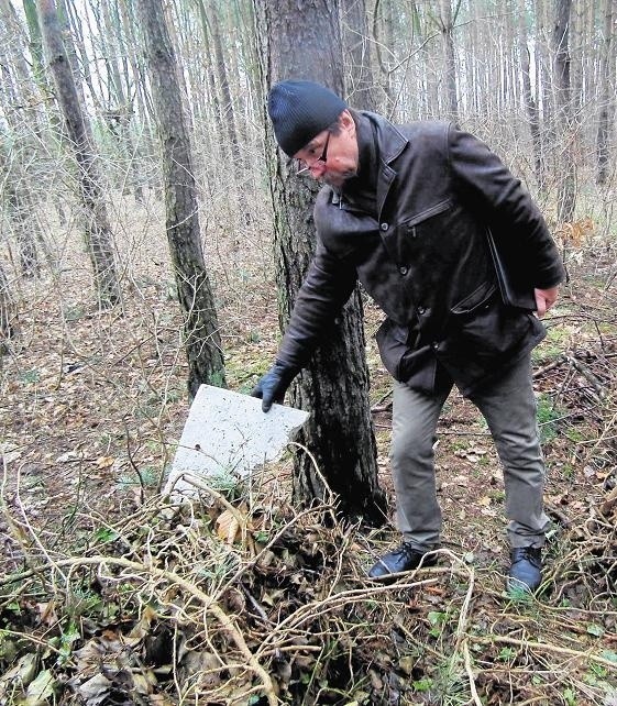 Poznaniacy radzą sobie jak mogą, wywożą odpady zielone do lasu. Stertę gałęzi Olaf Basiński znalazł w lesie przy ul. Zagajnikowej 