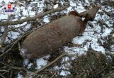 Puławy: Podczas wycinki w lesie znaleźli 150-kilogramową bombę. Pocisk zabrali i rozbroili saperzy