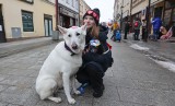 Wielka parada psów i wiele atrakcji na rzeszowskim rynku - gra Wielka Orkiestra Świątecznej Pomocy [ZDJĘCIA, WIDEO]