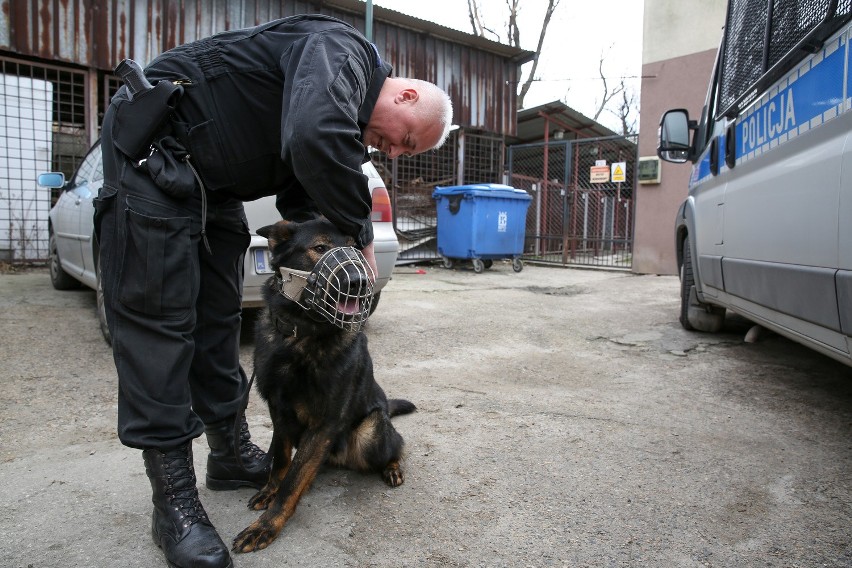 Psy małopolskiej policji