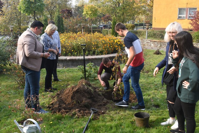 Moment sadzenia Drzewa Niepodległośći