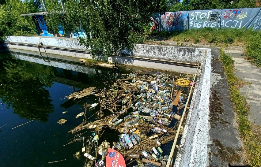 Kąpielisko na wrocławskim Oporowie choć od dawna zaniedbane...