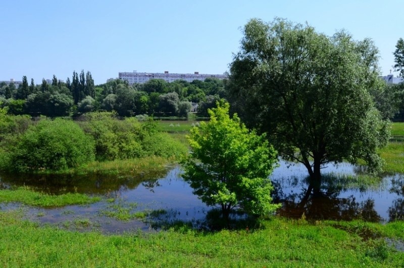 Dzisiejsze Łazienki nie przypominają w niczym tych sprzed...